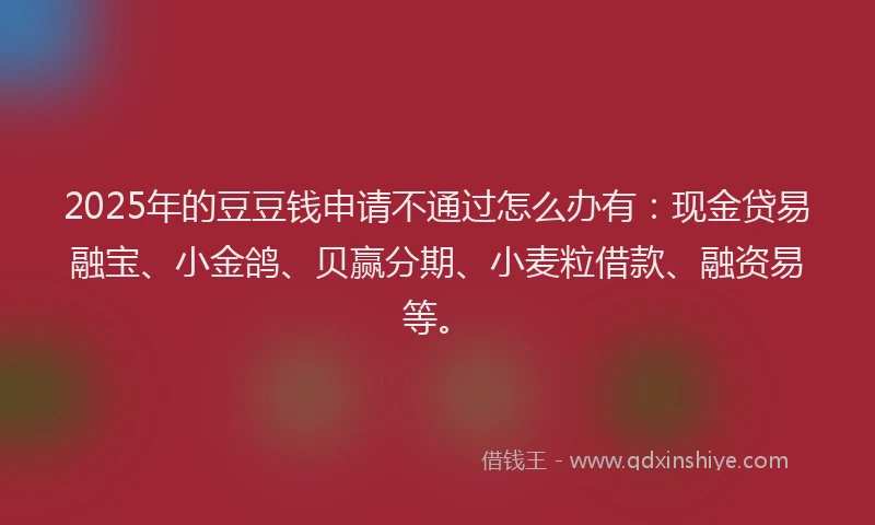 2025年的豆豆钱申请不通过怎么办有：现金贷易融宝、小金鸽、贝赢分期、小麦粒借款、融资易等。