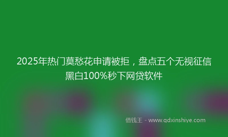 2025年热门莫愁花申请被拒，盘点五个无视征信黑白100%秒下网贷软件