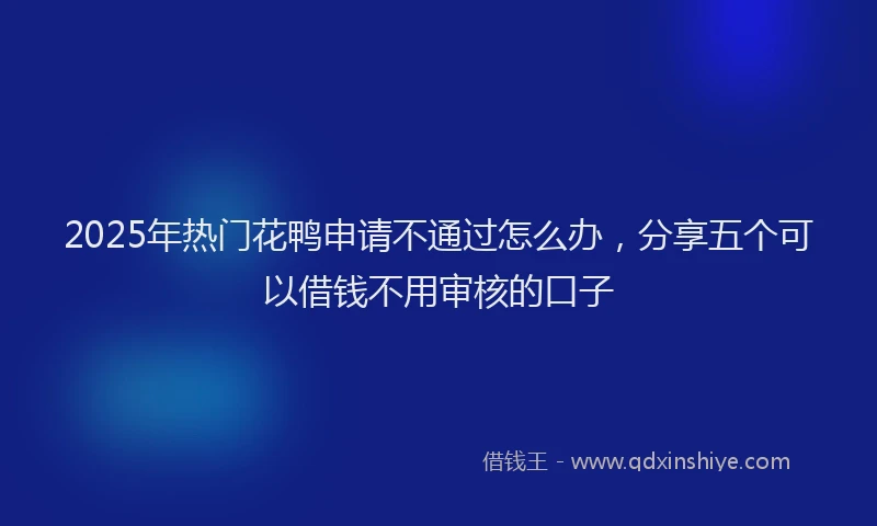 2025年热门花鸭申请不通过怎么办，分享五个可以借钱不用审核的口子
