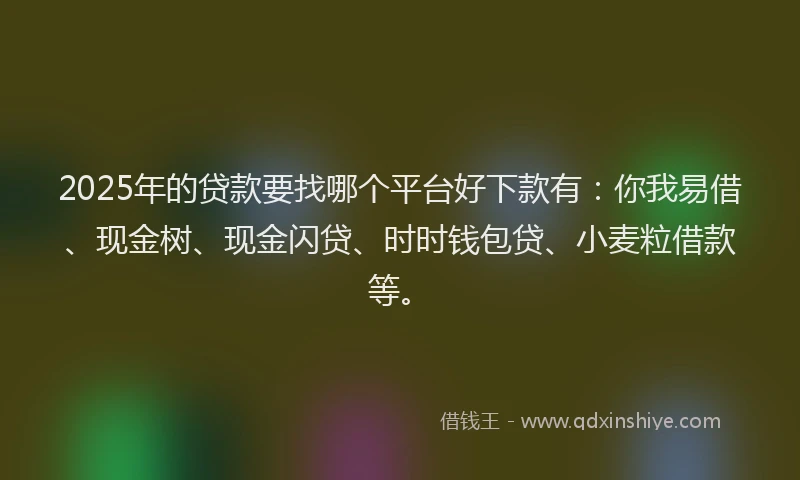 2025年的贷款要找哪个平台好下款有：你我易借、现金树、现金闪贷、时时钱包贷、小麦粒借款等。