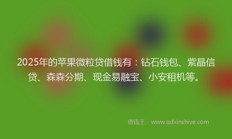 2025年的苹果微粒贷借钱有：钻石钱包、紫晶信贷、森森分期、现金易融宝、小安租机等。