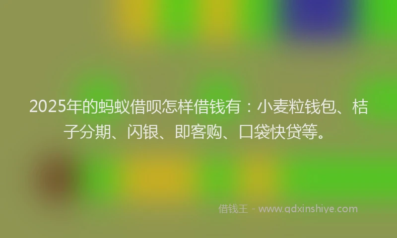 2025年的蚂蚁借呗怎样借钱有：小麦粒钱包、桔子分期、闪银、即客购、口袋快贷等。