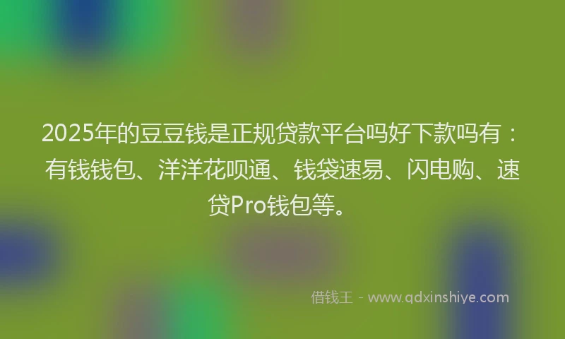 2025年的豆豆钱是正规贷款平台吗好下款吗有：有钱钱包、洋洋花呗通、钱袋速易、闪电购、速贷Pro钱包等。