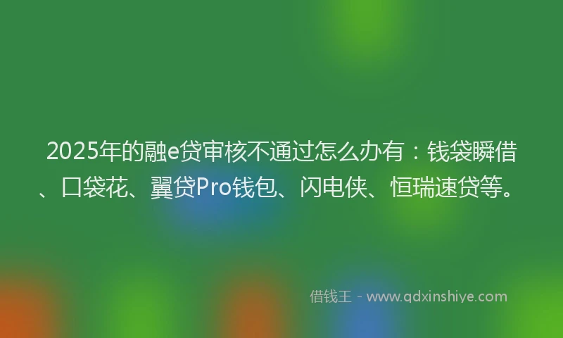 2025年的融e贷审核不通过怎么办有：钱袋瞬借、口袋花、翼贷Pro钱包、闪电侠、恒瑞速贷等。
