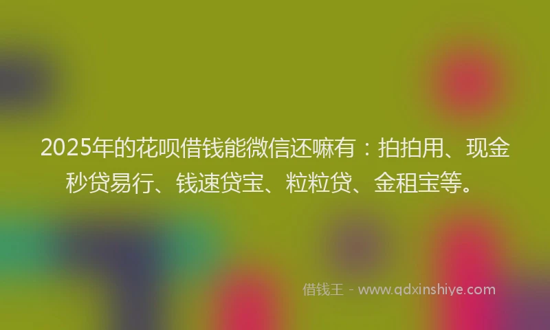 2025年的花呗借钱能微信还嘛有：拍拍用、现金秒贷易行、钱速贷宝、粒粒贷、金租宝等。