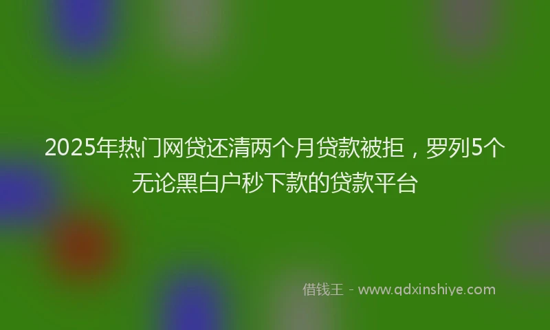 2025年热门网贷还清两个月贷款被拒，罗列5个无论黑白户秒下款的贷款平台
