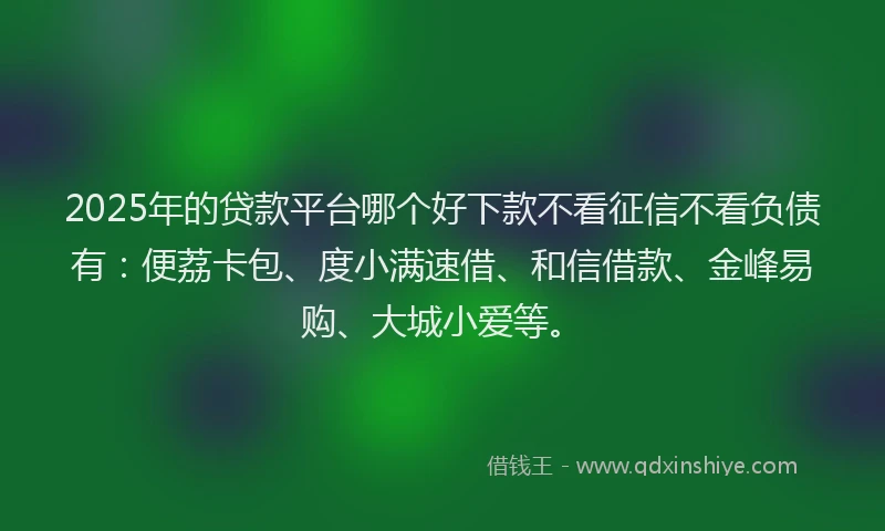 2025年的贷款平台哪个好下款不看征信不看负债有：便荔卡包、度小满速借、和信借款、金峰易购、大城小爱等。