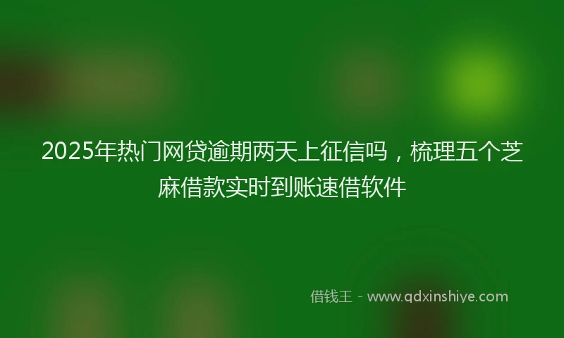 2025年热门网贷逾期两天上征信吗，梳理五个芝麻借款实时到账速借软件