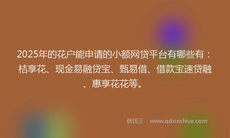 2025年的花户能申请的小额网贷平台有哪些有：桔享花、现金易融贷宝、甄易借、借款宝速贷融、惠享花花等。