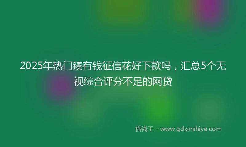 2025年热门臻有钱征信花好下款吗，汇总5个无视综合评分不足的网贷