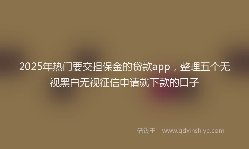 2025年热门要交担保金的贷款app，整理五个无视黑白无视征信申请就下款的口子