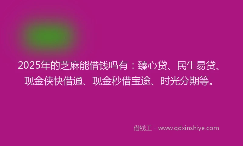 2025年的芝麻能借钱吗有：臻心贷、民生易贷、现金侠快借通、现金秒借宝途、时光分期等。