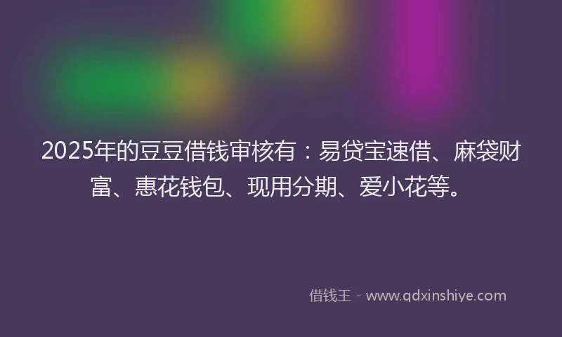 2025年的豆豆借钱审核有：易贷宝速借、麻袋财富、惠花钱包、现用分期、爱小花等。