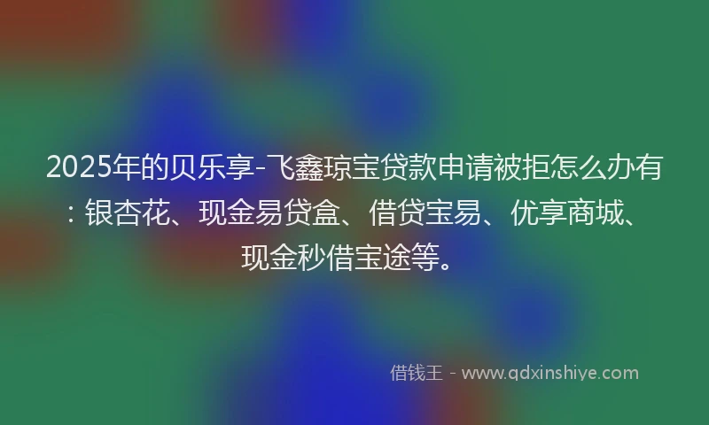 2025年的贝乐享-飞鑫琼宝贷款申请被拒怎么办有：银杏花、现金易贷盒、借贷宝易、优享商城、现金秒借宝途等。
