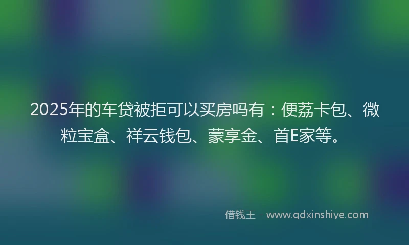 2025年的车贷被拒可以买房吗有：便荔卡包、微粒宝盒、祥云钱包、蒙享金、首E家等。