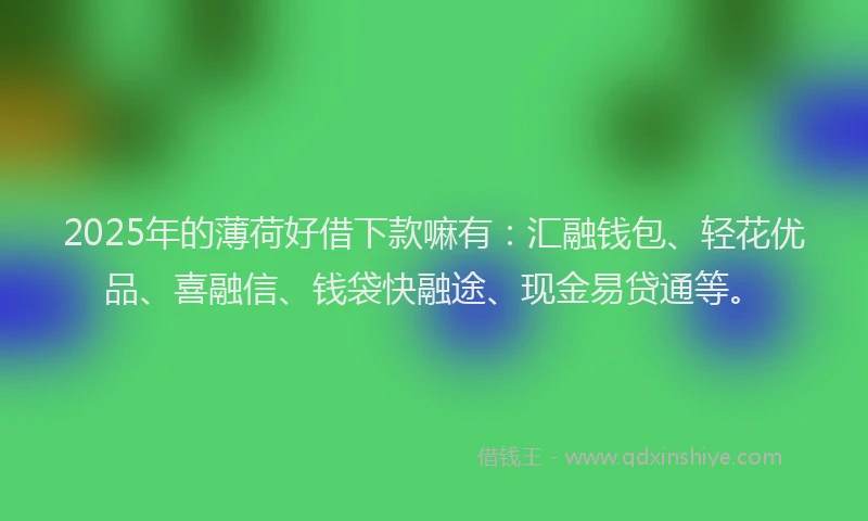2025年的薄荷好借下款嘛有：汇融钱包、轻花优品、喜融信、钱袋快融途、现金易贷通等。