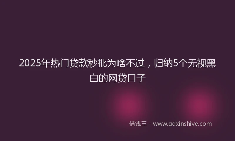 2025年热门贷款秒批为啥不过，归纳5个无视黑白的网贷口子