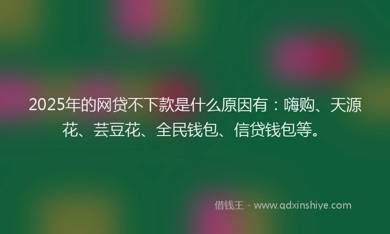 2025年的网贷不下款是什么原因有：嗨购、天源花、芸豆花、全民钱包、信贷钱包等。