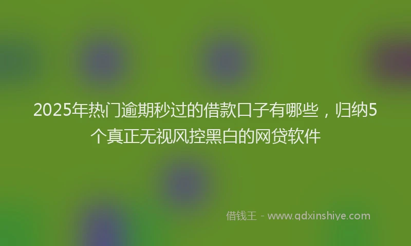 2025年热门逾期秒过的借款口子有哪些，归纳5个真正无视风控黑白的网贷软件