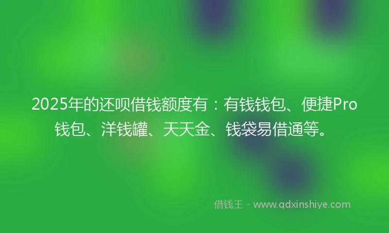 2025年的还呗借钱额度有：有钱钱包、便捷Pro钱包、洋钱罐、天天金、钱袋易借通等。