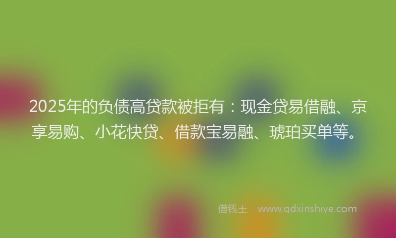 2025年的负债高贷款被拒有：现金贷易借融、京享易购、小花快贷、借款宝易融、琥珀买单等。