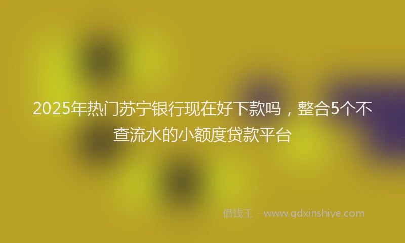 2025年热门苏宁银行现在好下款吗，整合5个不查流水的小额度贷款平台