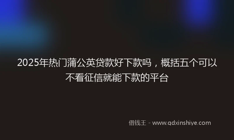 2025年热门蒲公英贷款好下款吗，概括五个可以不看征信就能下款的平台