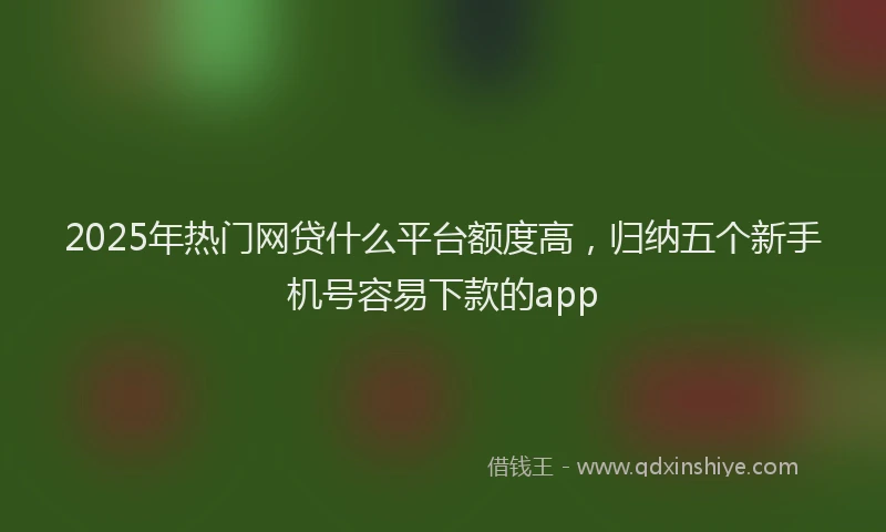 2025年热门网贷什么平台额度高，归纳五个新手机号容易下款的app
