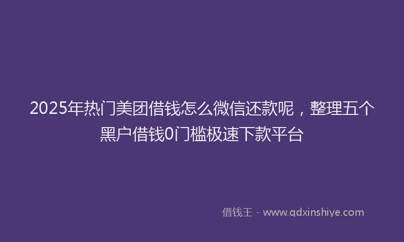 2025年热门美团借钱怎么微信还款呢，整理五个黑户借钱0门槛极速下款平台