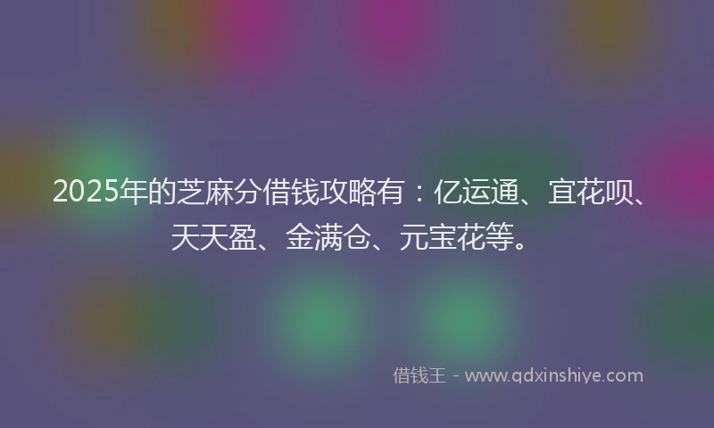 2025年的芝麻分借钱攻略有：亿运通、宜花呗、天天盈、金满仓、元宝花等。