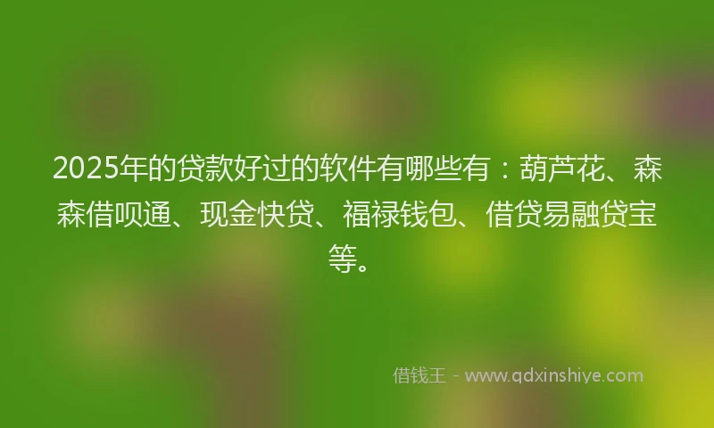 2025年的贷款好过的软件有哪些有：葫芦花、森森借呗通、现金快贷、福禄钱包、借贷易融贷宝等。