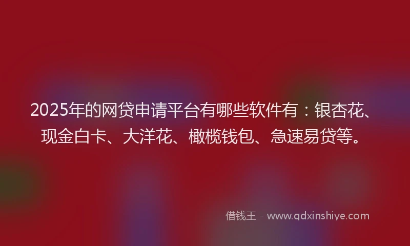 2025年的网贷申请平台有哪些软件有：银杏花、现金白卡、大洋花、橄榄钱包、急速易贷等。