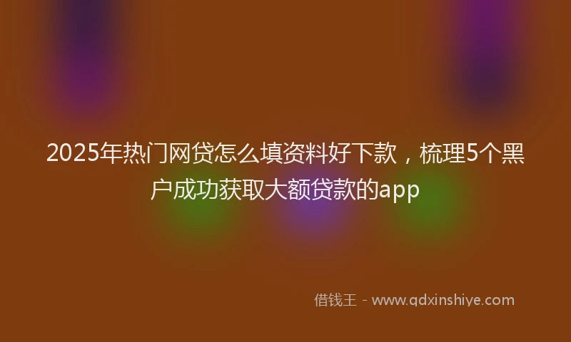 2025年热门网贷怎么填资料好下款，梳理5个黑户成功获取大额贷款的app