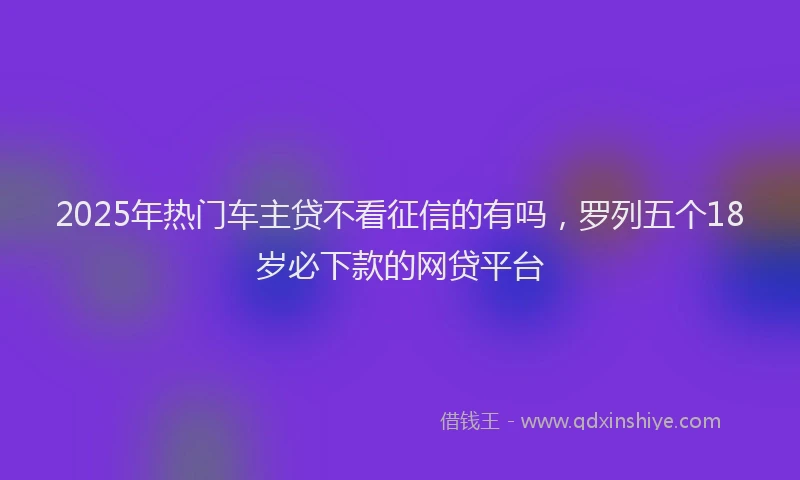 2025年热门车主贷不看征信的有吗，罗列五个18岁必下款的网贷平台