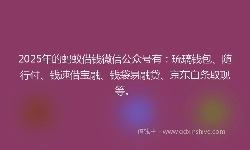 2025年的蚂蚁借钱微信公众号有：琉璃钱包、随行付、钱速借宝融、钱袋易融贷、京东白条取现等。