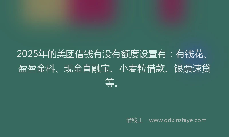 2025年的美团借钱有没有额度设置有：有钱花、盈盈金科、现金直融宝、小麦粒借款、银票速贷等。