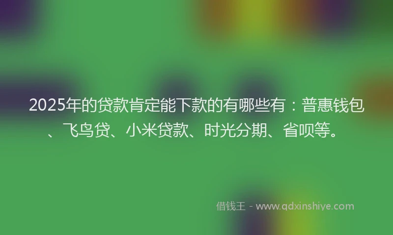 2025年的贷款肯定能下款的有哪些有：普惠钱包、飞鸟贷、小米贷款、时光分期、省呗等。
