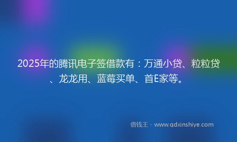 2025年的腾讯电子签借款有：万通小贷、粒粒贷、龙龙用、蓝莓买单、首E家等。
