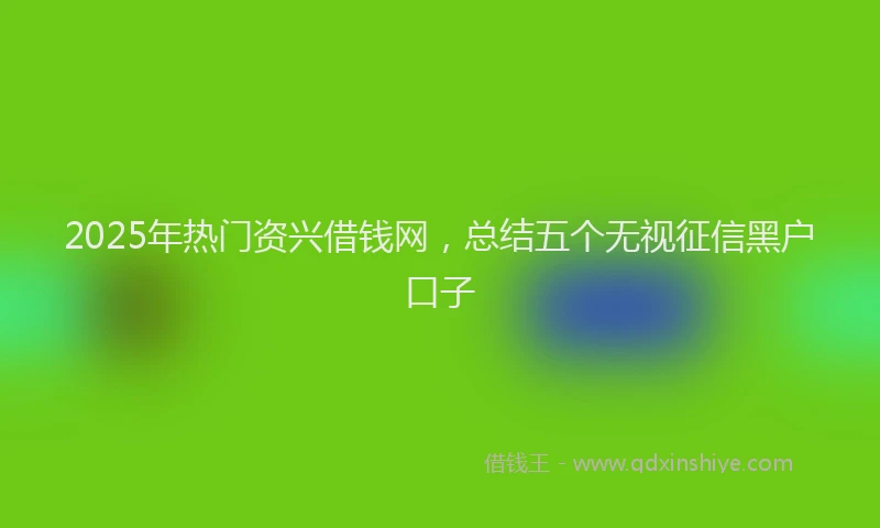 2025年热门资兴借钱网，总结五个无视征信黑户口子
