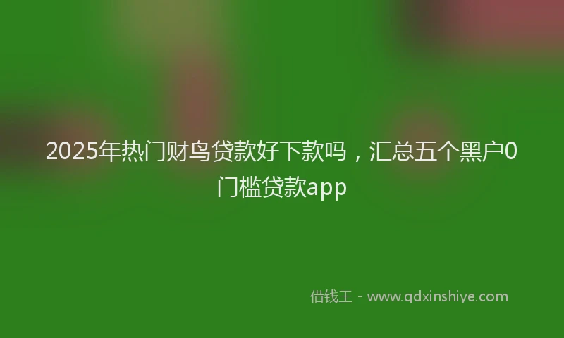 2025年热门财鸟贷款好下款吗，汇总五个黑户0门槛贷款app