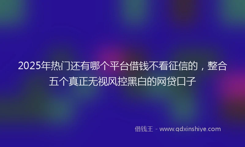 2025年热门还有哪个平台借钱不看征信的，整合五个真正无视风控黑白的网贷口子