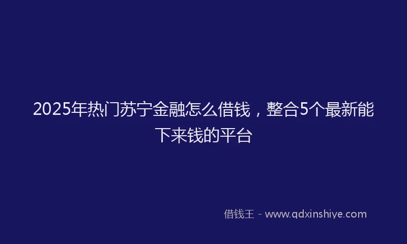 2025年热门苏宁金融怎么借钱，整合5个最新能下来钱的平台