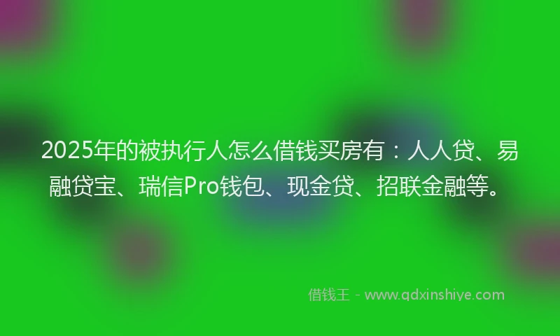 2025年的被执行人怎么借钱买房有：人人贷、易融贷宝、瑞信Pro钱包、现金贷、招联金融等。