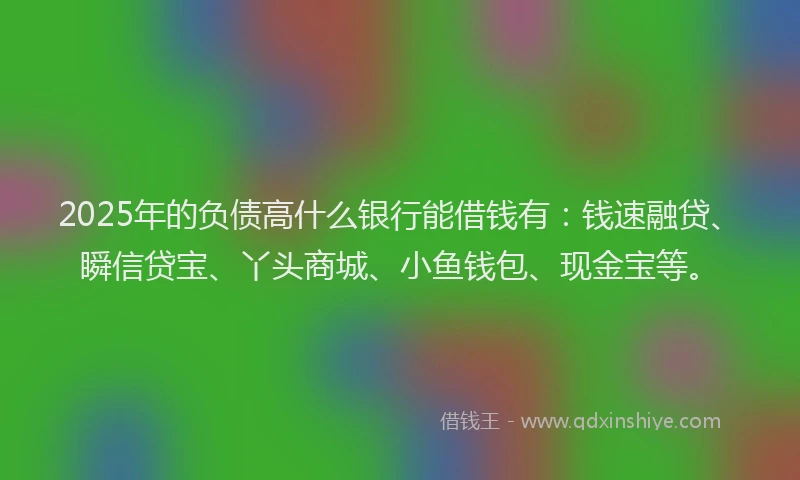 2025年的负债高什么银行能借钱有：钱速融贷、瞬信贷宝、丫头商城、小鱼钱包、现金宝等。