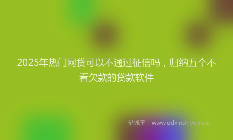 2025年热门网贷可以不通过征信吗，归纳五个不看欠款的贷款软件