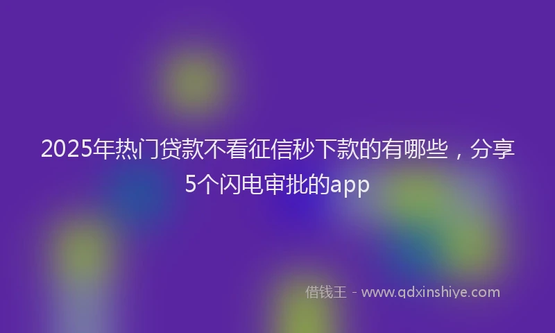 2025年热门贷款不看征信秒下款的有哪些，分享5个闪电审批的app