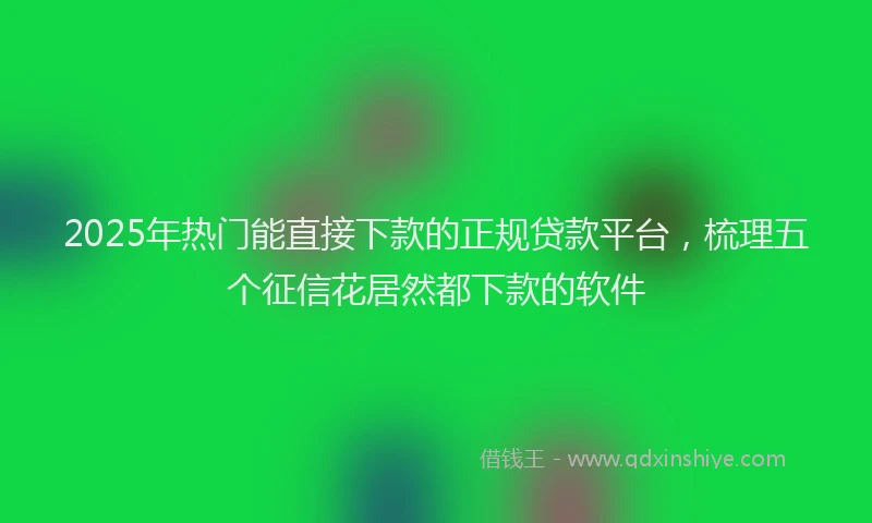 2025年热门能直接下款的正规贷款平台，梳理五个征信花居然都下款的软件