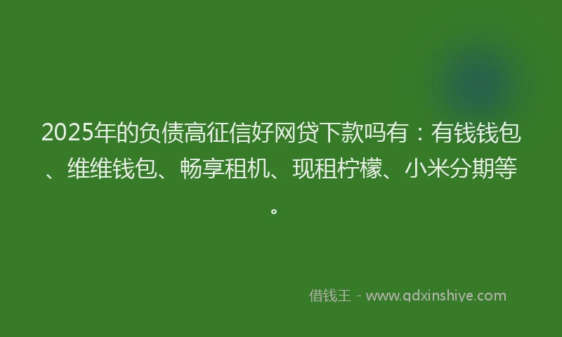 2025年的负债高征信好网贷下款吗有：有钱钱包、维维钱包、畅享租机、现租柠檬、小米分期等。