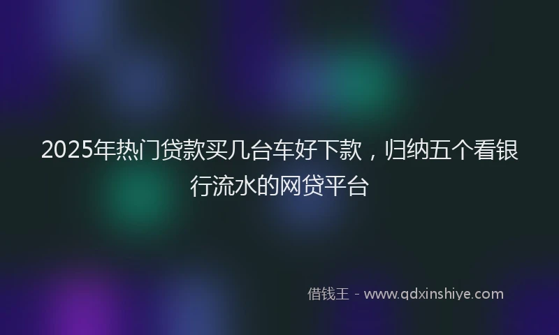 2025年热门贷款买几台车好下款，归纳五个看银行流水的网贷平台