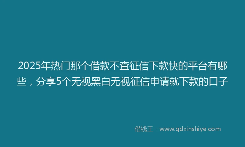 2025年热门那个借款不查征信下款快的平台有哪些，分享5个无视黑白无视征信申请就下款的口子